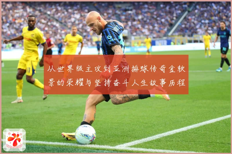 从世界级主攻到亚洲排球传奇金软景的荣耀与坚持奋斗人生故事历程