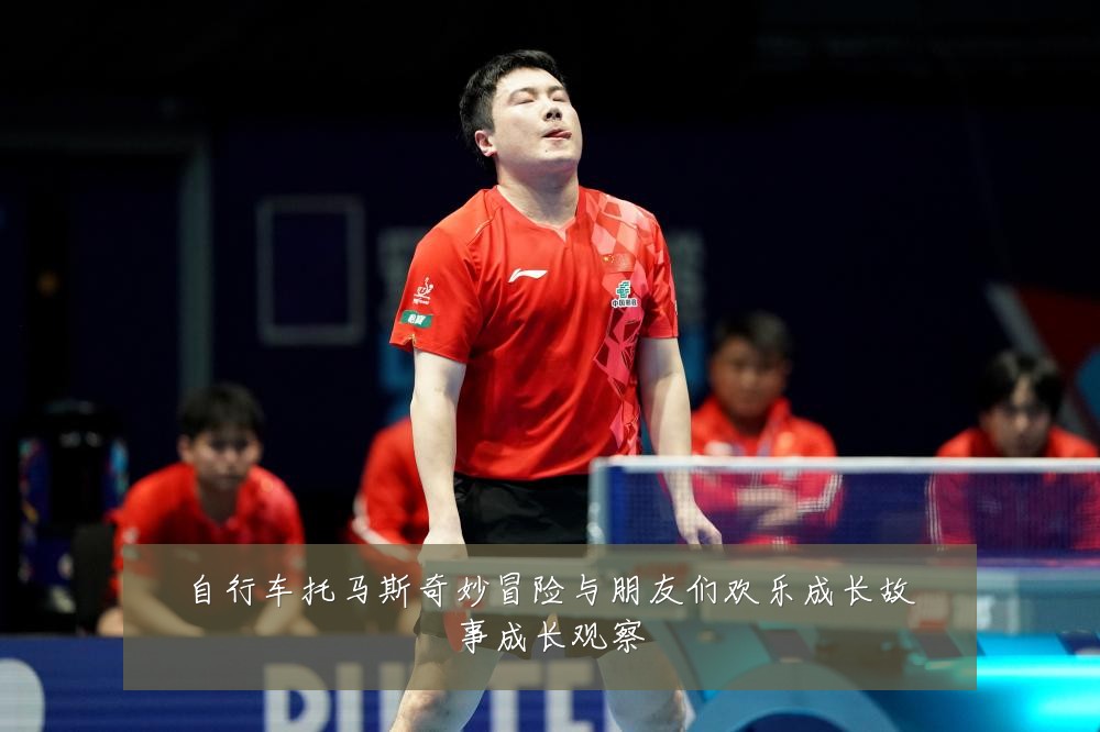 自行车托马斯奇妙冒险与朋友们欢乐成长故事成长观察