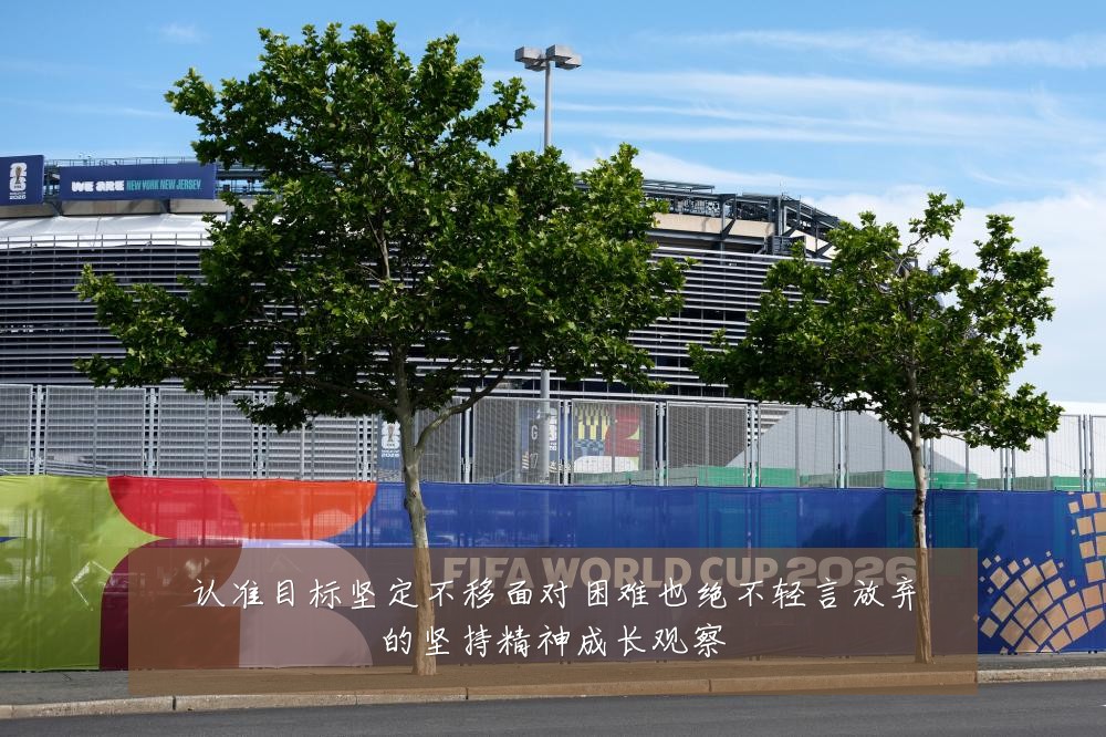 认准目标坚定不移面对困难也绝不轻言放弃的坚持精神成长观察