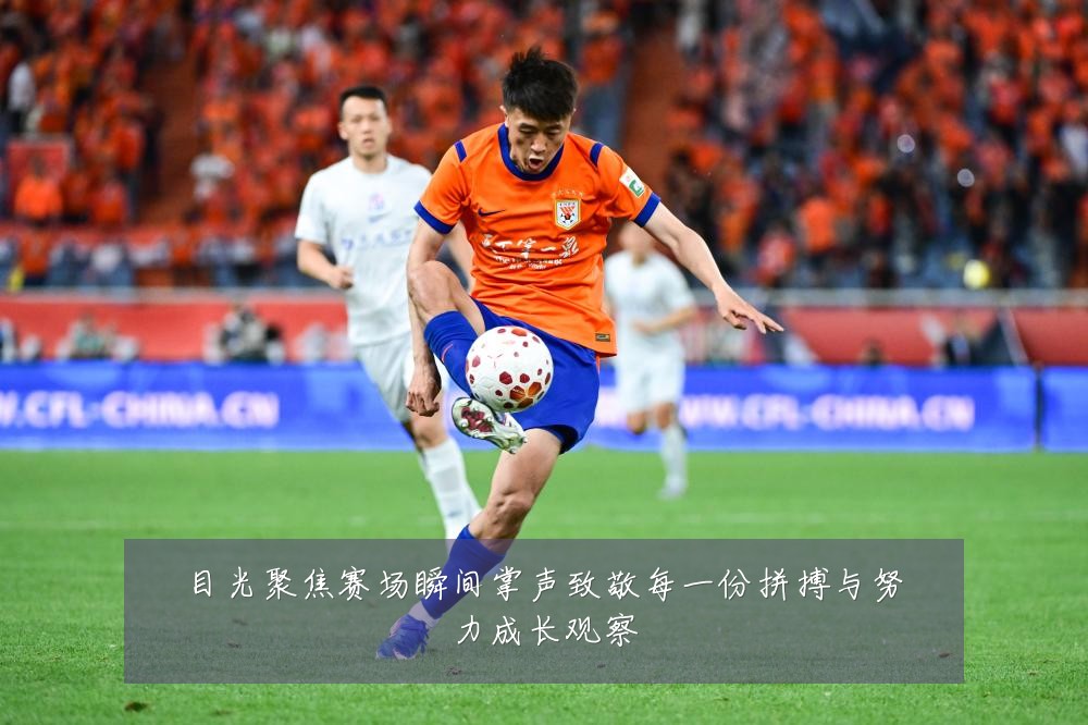 目光聚焦赛场瞬间掌声致敬每一份拼搏与努力成长观察